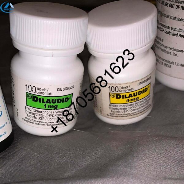 Dilaudid Hydromorphone pills